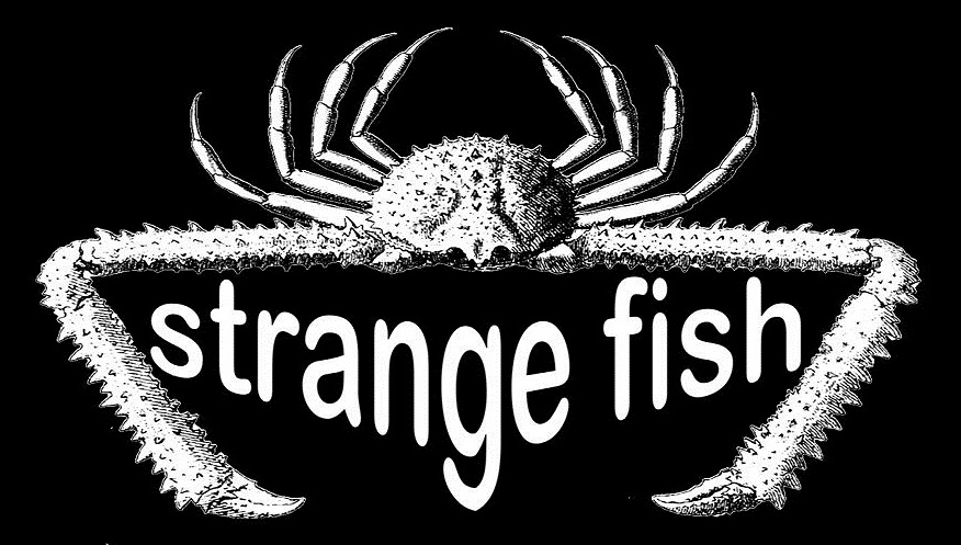 it's strange, it's fishy, it's....